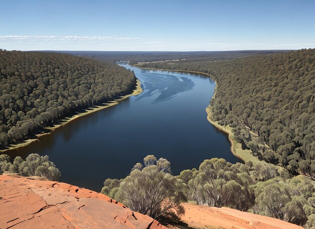 Regardant les méandres de la rivière Murray