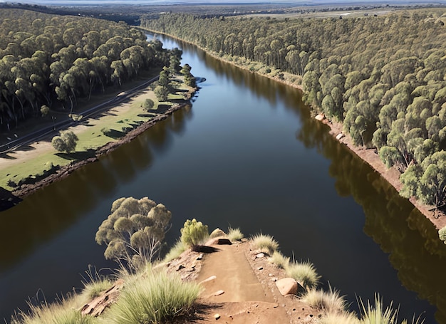 Regardant les méandres de la rivière Murray