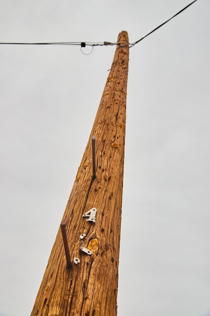 Regardant le poteau téléphonique avec le numéro quatre