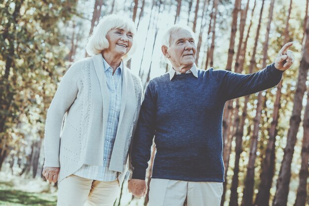 Regardez ça ! Low angle view of happy senior couple tenant la main et marchant par par tandis que l'homme pointant vers l'extérieur