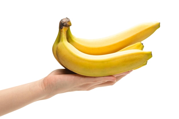 Un régime de bananes dans la main de la femme isolé sur fond blanc