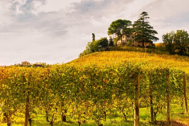 Région viticole de Barolo Langhe Piémont Italie
