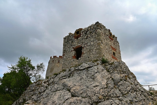 Région viticole de Moravie du Sud Palava en République tchèque Ruines d'un ancien château Château de Devickydivci