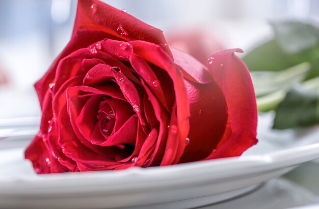 Réglage de la table pour la Saint-Valentin ou le jour du mariage avec des roses rouges Réglage de la table romantique pour deux