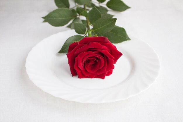 Réglage de la table avec rose rouge sur la plaque blanche