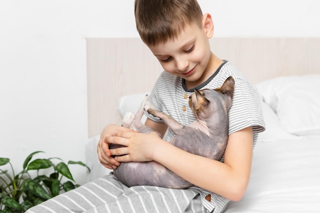 Relation chat et humain Amitié avec animal de compagnie Enfant câlin avec chat sphynx canadien gris sur le lit Animal de soutien émotionnel Activité intérieure