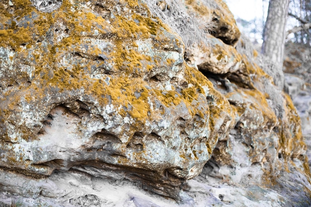 Le relief des rochers recouverts de mousse.