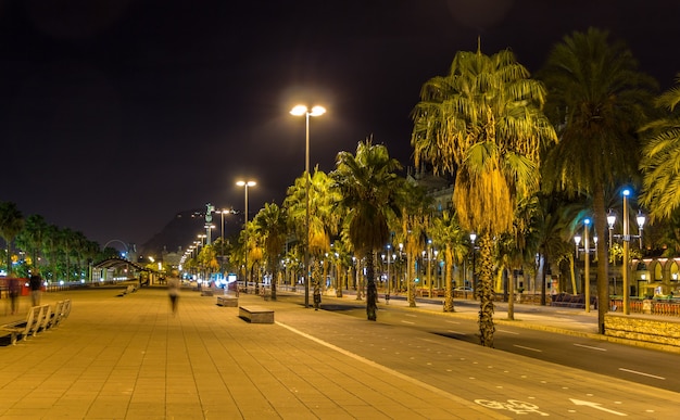 Remblai de Barcelone dans la nuit