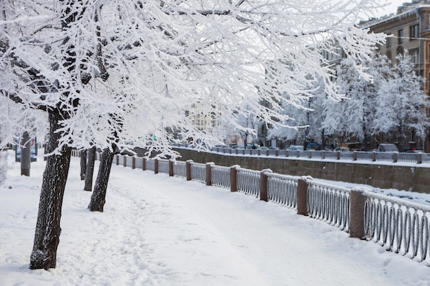 Le remblai du chenal de la ville recouvert de neige, branches d'arbres en gel