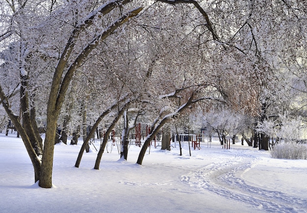 Le remblai de Michael en hiver. Des branches d'arbres surplombent le chemin couvert de congères