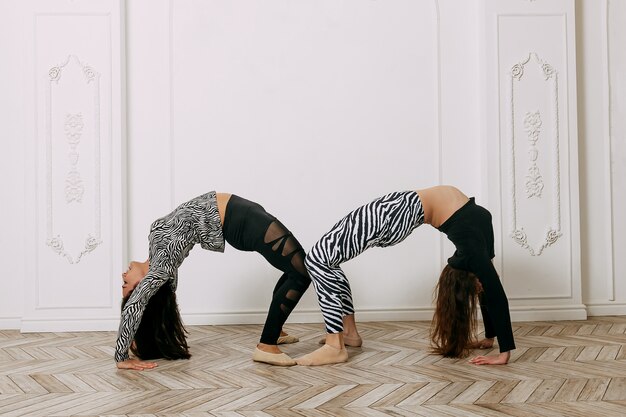 Remise en forme, étirement, groupe de deux jolies femmes faisant du yoga. Concept de bien-être