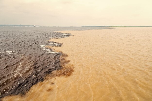 Rencontre aquatique au brésil fleuve amazone avec rio del negro