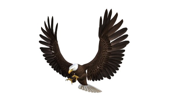 Photo rendering 3d d'un aigle sur un fond blanc