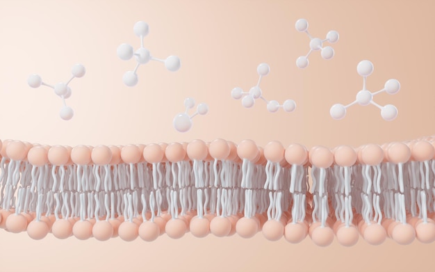 Photo rendu 3d d'arrière-plan de la structure de la membrane cellulaire