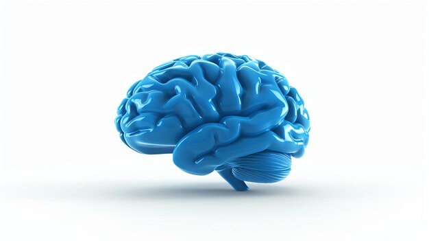 Un rendu 3D d'un cerveau humain Le cerveau est bleu et brillant et il est isolé sur un fond blanc