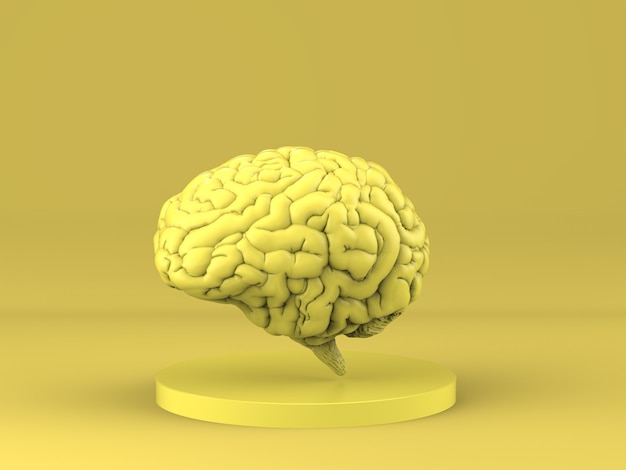 Le rendu 3D du cerveau humain jaune sur fond jaune