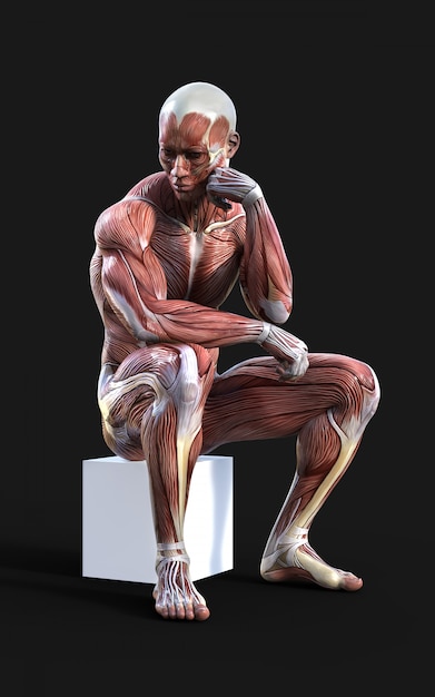 Photo rendu 3d de figures masculines posent avec muscle