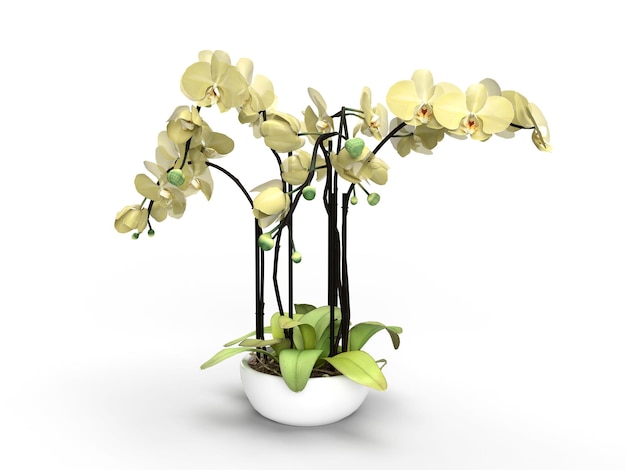 Rendu 3d fleur d'orchidée jaune dans un pot sur fond blanc