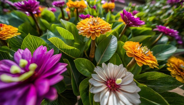 Photo le rendu 3d des fleurs de diwali