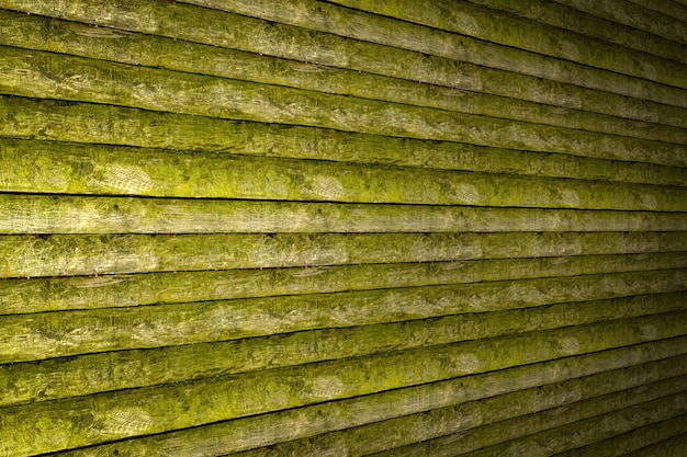 Rendu 3D, fond de mur et plancher en bois, fond de table en bois