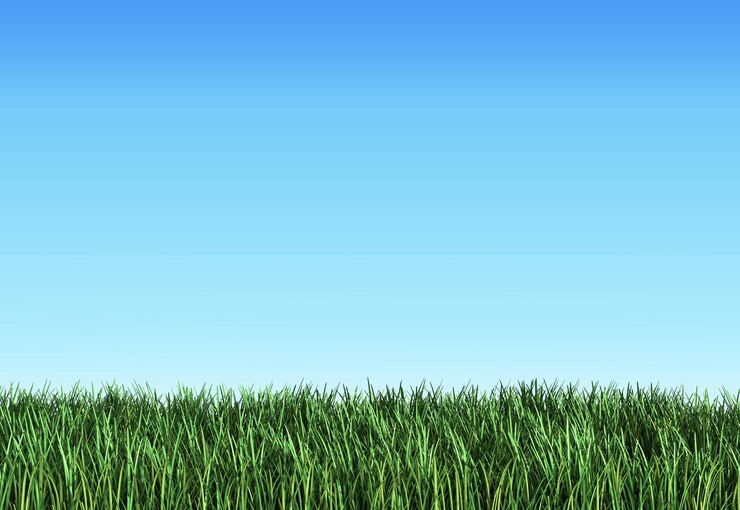 Photo rendu 3d de l'herbe sur bleu