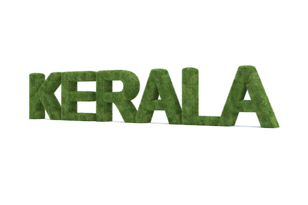 Le rendu 3D de l'herbe verte KERALA mot isolé