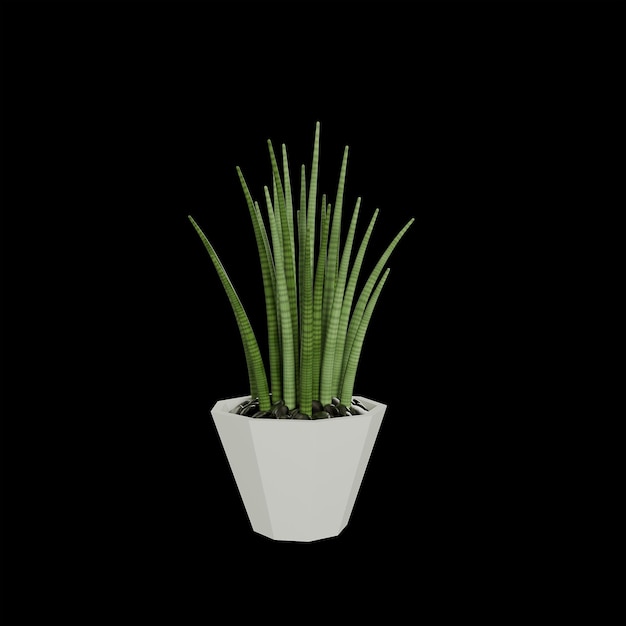 Rendu 3D d'une plante succulente isolée sur du noir