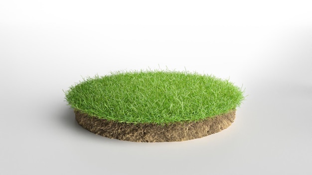 Rendu 3D réaliste sol de terrain en coupe de cercle avec roche isolée Illustration 3D coupe transversale de sol de sol rond avec terre et herbe verte