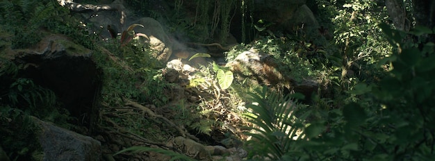 Photo rendu 3d d'une scène de forêt tropicale humide