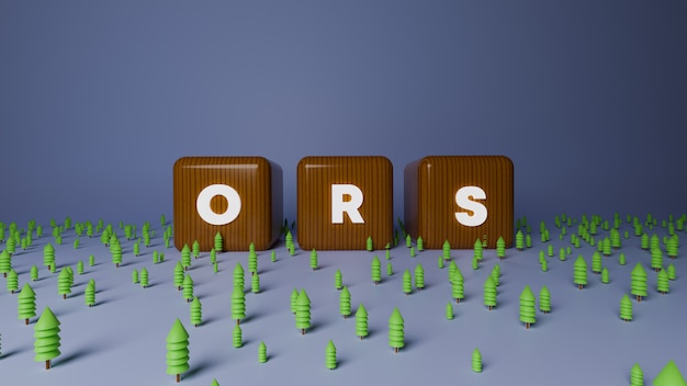 Rendu 3D de texte ORS bloc de bois brillant