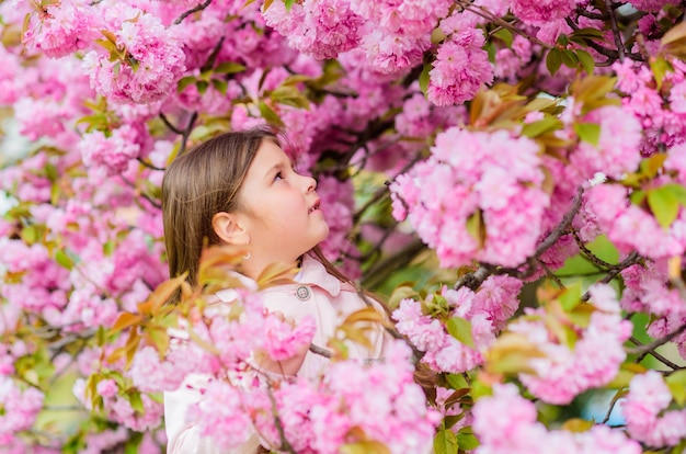 Renifler des fleurs Débarrassez-vous des allergies saisonnières Fille appréciant l'arôme floral Concept d'allergie au pollen Enfant sur fond d'arbre de sakura à fleurs roses Remède contre les allergies L'enfant profite de la vie sans allergie