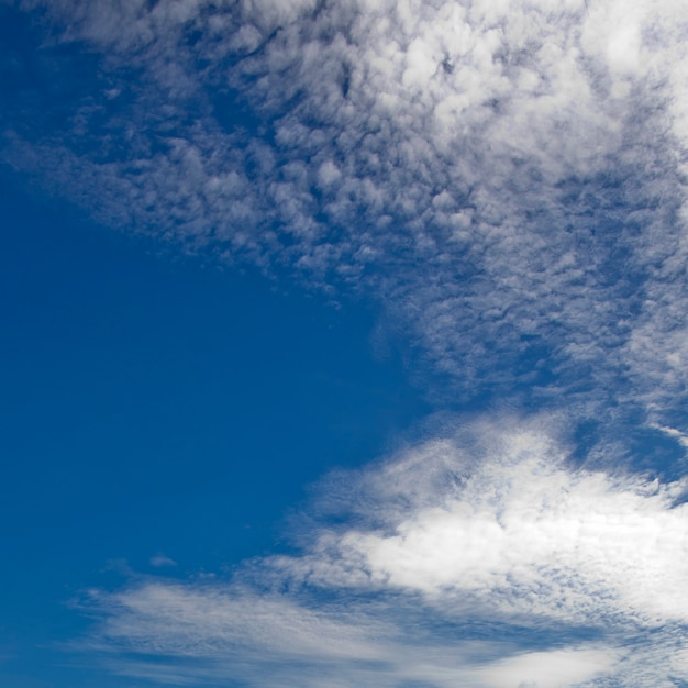 répandre des nuages lumineux avec le vent sur ciel bleu