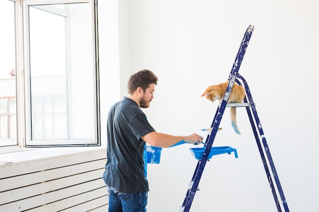 Réparation de rénovation animal et amour couple concept jeune homme avec chat faisant la réparation et la peinture des murs