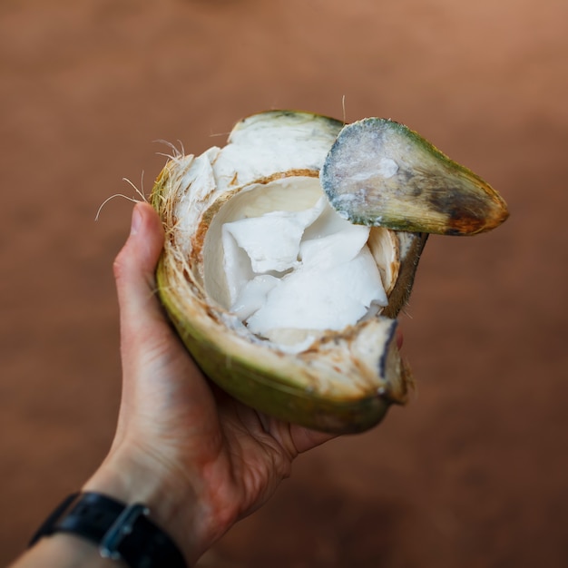 Photo repas de noix de coco vert à la main dans un cadre carré