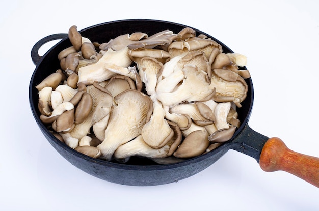 Repas végétariens. Pleurotes dans la poêle pour la cuisson. Studio photo