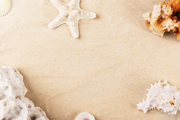 Photo reposant sur le bord de mer de sable doré. fond d'été avec corail et étoile de mer.