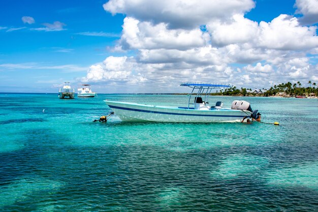 République dominicaine belle côte des Caraïbes avec de l'eau turquoise et des palmiers