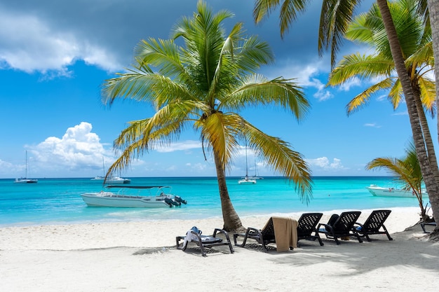 République dominicaine belle côte des Caraïbes avec de l'eau turquoise et des palmiers