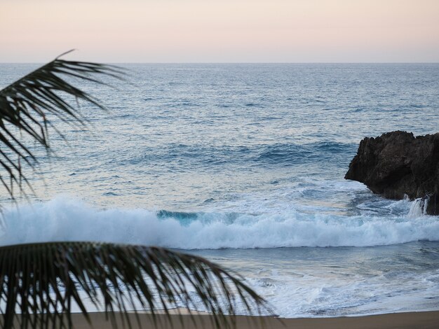 République dominicaine, plage au crépuscule, vagues et branches de palmier. Le coucher du soleil. Mise au point sélective. Flou artistique.