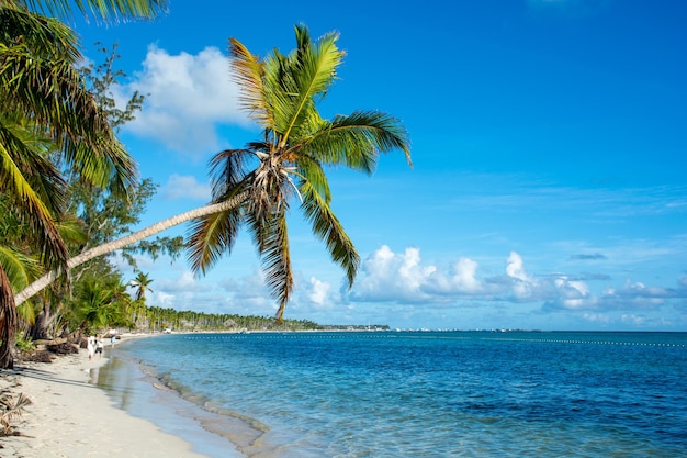 République dominicaine Punta Cana belle côte de la mer des Caraïbes avec de l'eau turquoise et des palmiers