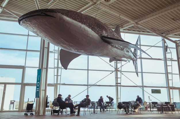 Requin-baleine décoratif énorme dans l'aquarium au Danemark