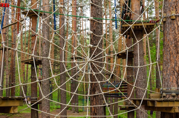 Un réseau de cordes dans la forêt.