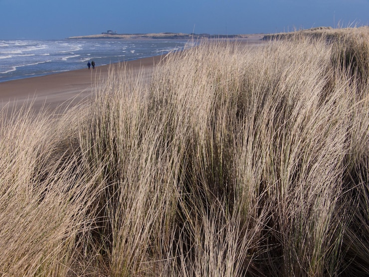 Photo reserve du zwin knokke belgique