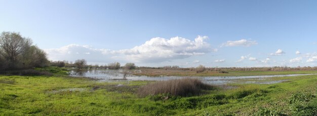 Réserve faunique de San Joaquin en Californie