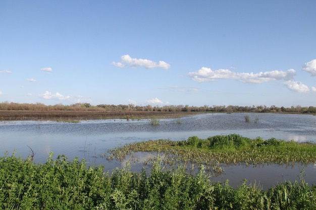 Réserve faunique de San Joaquin en Californie