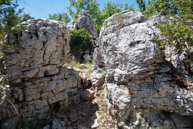 Photo réserve naturelle le bois de paiolive en ardèche cévennes france forêt de roches calcaires