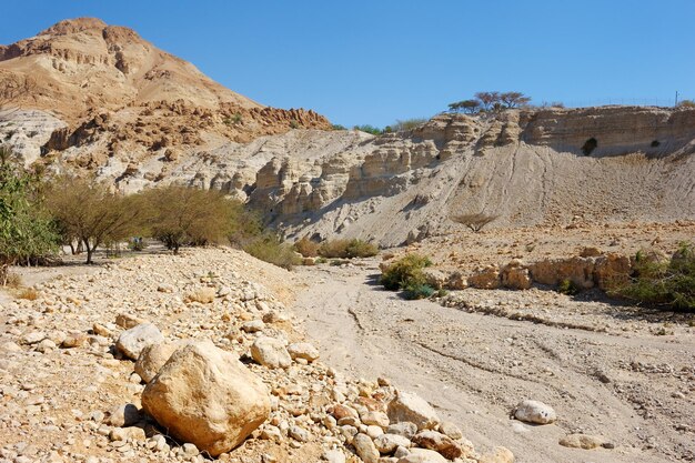 Réserve naturelle d'Ein Gedi au large de la mer Morte