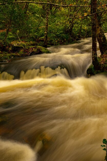 Réserve naturelle intégrale de Muniellos, entre les communes de Cangas del Narcea et Ibias.