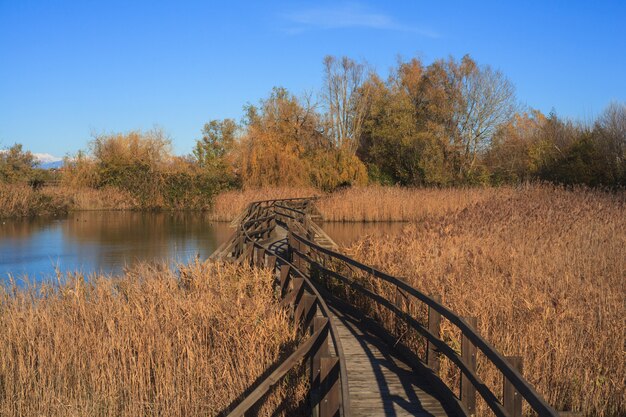 Réserve naturelle de la Valle Canal Novo