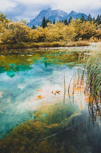 Photo réserve naturelle de zelenci krajnska gora slovénie europe matin magnifique vue sur la réserve naturelle de zelenci voyage en slovénie